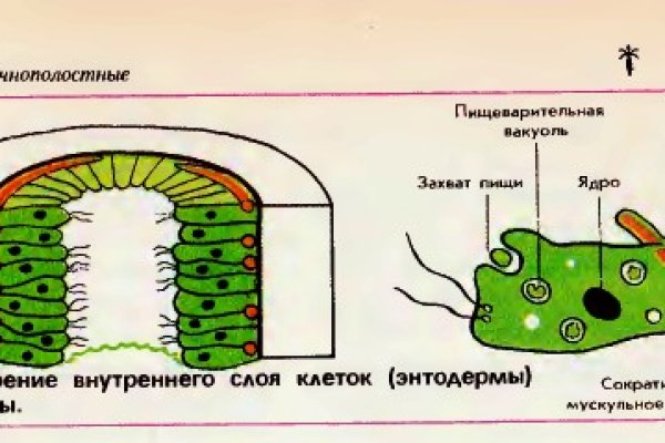 Кракен продажа наркотиков