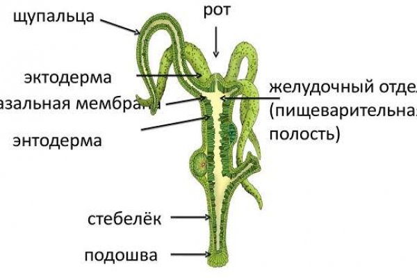 Kra32.cc